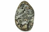 7.6" Free-Standing, Polished Septarian Geode - Black Crystals - #202554-1